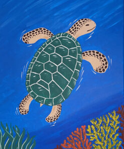 Turtle Paradise - Sunday 1st June @ 12:00pm - 2:30pm